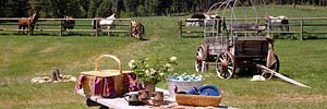 picnic on a Montana ranch with horses and old antique wagon